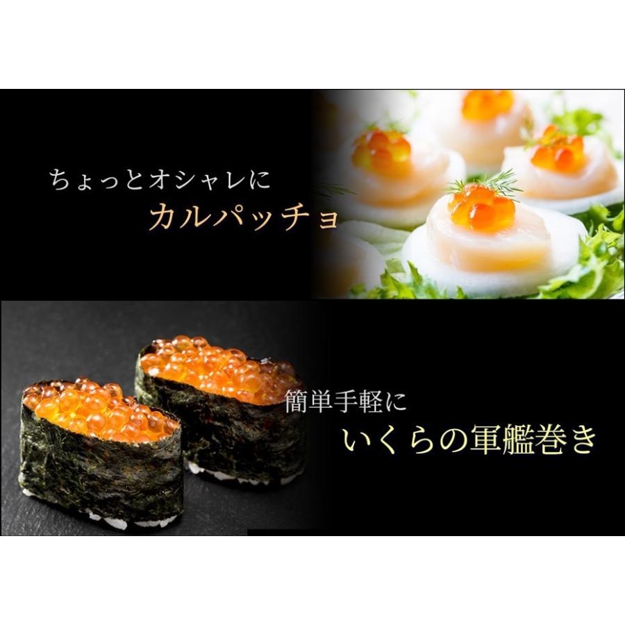 北海道産 いくら 有機醤油漬け 500g 250g×2個 高級 イクラ 海鮮 鮭 丼 贈答品 送料無料