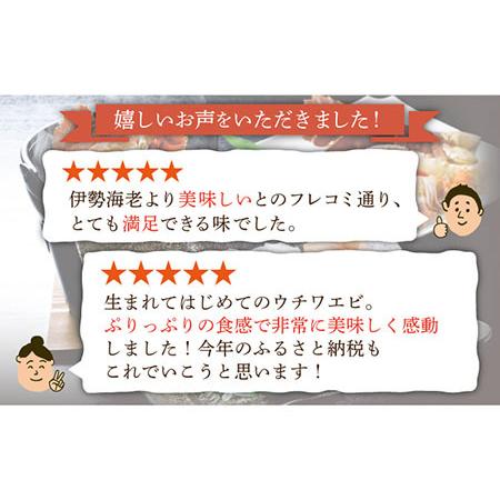 ふるさと納税 ウチワエビしゃぶしゃぶA刺身・半身セット 600g[KAA233]  長崎 平戸 魚介類 海老 エビ ウチワエビ 季節限.. 長崎県平戸市