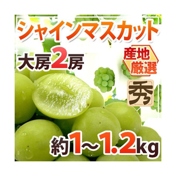 ”シャインマスカット” 秀品 大房限定 2房 約1〜1.2kg 産地厳選[M2] 送料無料