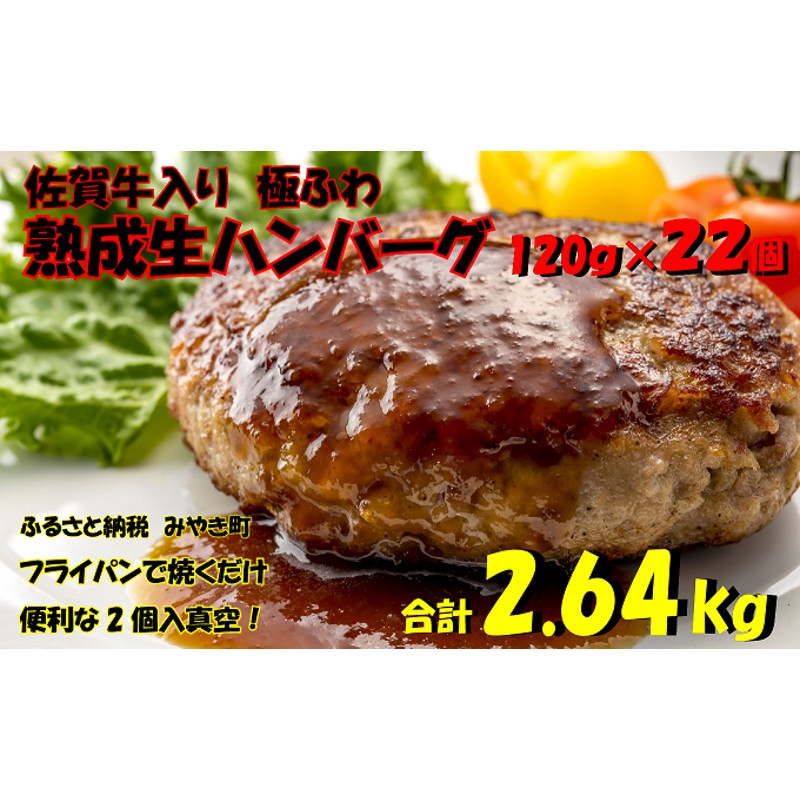 ふるさと納税 宇土市 氷温 R 熟成 黒毛和牛ハンバーグ150g×12個 超高品質で人気の