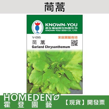 【隔日到貨】茼蒿 V-095 蔬菜種子 農友牌 小包裝種子 約400粒/包【HOMEDEN霍登園藝】