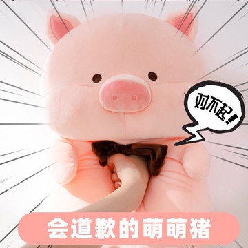 玩偶 拍打會道歉的豬抖音同款哄老婆女朋友開心的道歉禮物抱枕女生公仔