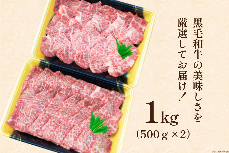 牛肉  黒毛和牛 宮崎産 希少部位 焼肉 セット 1kg [ウィズ・クリエイティブ 宮崎県 日向市 452060283] 和牛 焼肉用 赤身 肉 国産