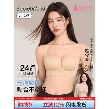 Secret World內衣女小胸聚攏顯大收副乳防下垂無痕隱形美背文胸罩