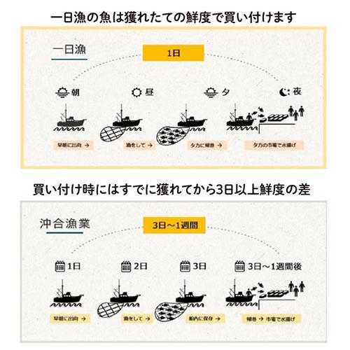 送料無料  「一日漁」福禄寿 一夜干し 計5枚 約900g 甘鯛 のどくろ あなご 干物 ひもの 贈り物 ギフト産地直送 冷凍 島根 岡富 (産直)