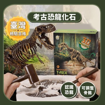 99元免運【考古玩具】3D考古恐龍化石｜暴龍劍龍挖掘DIY科普玩具