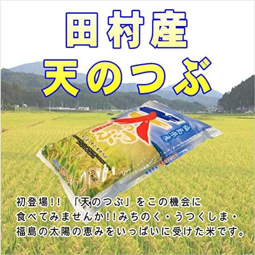 福島県田村産 白米 天のつぶ 5kg 令和5年産