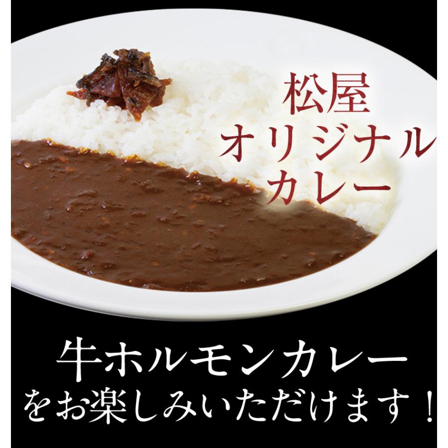 牛丼 牛丼の具 牛ホルモン焼き15個＆松屋オリジナルカレー15袋セット 通販限定発売 セット 冷食 肉 絶品 レンジ 仕送り 業務用 食品 おかず お弁当 冷凍 子供