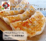 送料無料  房総ジャンボ餃子　20個（5個×4pack）セット　＊一部地域のみ別途送料