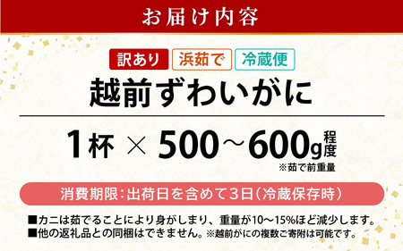 浜茹で 越前がに 約500～600g × 1杯（茹で前重量） 食べ方しおり付き希望日指定可 備考欄にメールアドレスをご記入ください [e04-x021]