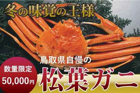 ボイル松葉がに（大 1枚：700g以上）かに カニ 蟹 ボイル 新鮮 かに カニ 蟹 松葉ガニ 松葉がに かに カニ 蟹 ボイル