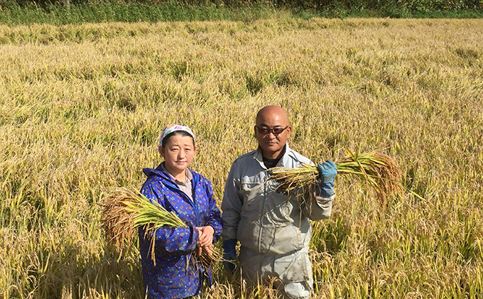 仁木町「ゆめぴりか」定期便（毎月5kg発送 全6回）