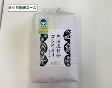 定期便 6ヶ月 連続お届け 特別栽培米 魚沼産コシヒカリ （精米） 5kg （ 米 コシヒカリ 魚沼産 精米 白米 お米 こめ コメ こしひかり 魚沼 半年 6回 お楽しみ ）