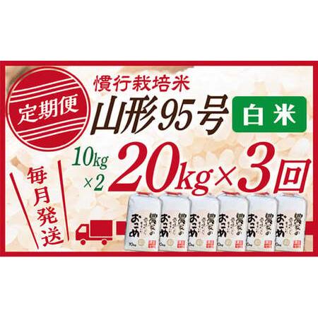 ふるさと納税 白米 山形95号 20kg(10kg×2) 3回配送 山形県最上町