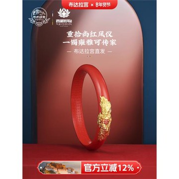 布達拉宮925銀寶杵朱砂手鐲本命年種子字紅色女士節日禮物送女友