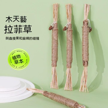 貓咪磨牙棒  木天蓼棒 貓咪磨牙棒 貓玩具 磨牙潔齒棒 潔牙棒 木天蓼磨牙棒 貓薄荷 蟲癭果 貓咪紓壓 木天寥