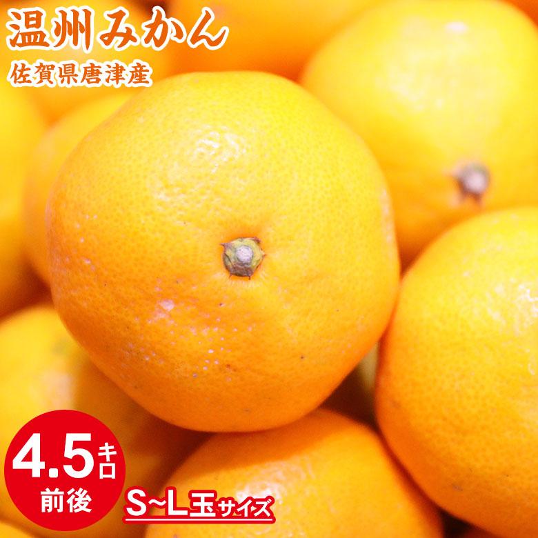 送料無料 佐賀県産 唐津 唐津みかん 温州みかん S M L 玉 4.5kg 前後 ご家庭用 秀品  訳あり