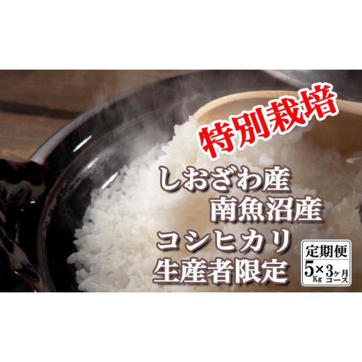 ふるさと納税 新潟県 南魚沼市 特別栽培 生産者限定  南魚沼しおざわ産コシヒカリ