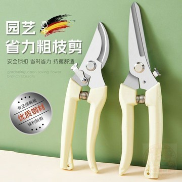 ✅嚴選好物✅不鏽鋼粗枝剪省力修枝剪刀園藝修花木果樹嫁接園林剪樹枝剪鮮花