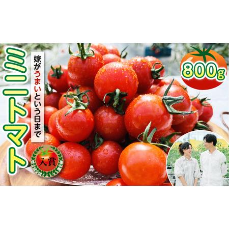 ふるさと納税 嫁がうまいと言う日まで ミニトマト 800g 八代市産 熊本県八代市