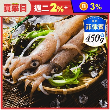 【鮮綠生活】野生船凍透抽500g 26-30公分(2隻入) 花枝 小卷 大卷