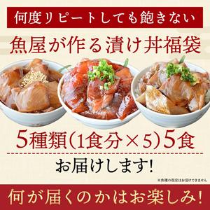 ふるさと納税 漬け丼 5種×1パック 計5食セット 冷凍 真空パック 小分け 海鮮丼 海鮮セット 詰め合わせ 旬の鮮魚  海鮮漬け丼 漬け丼 海鮮.. 山口県宇部市