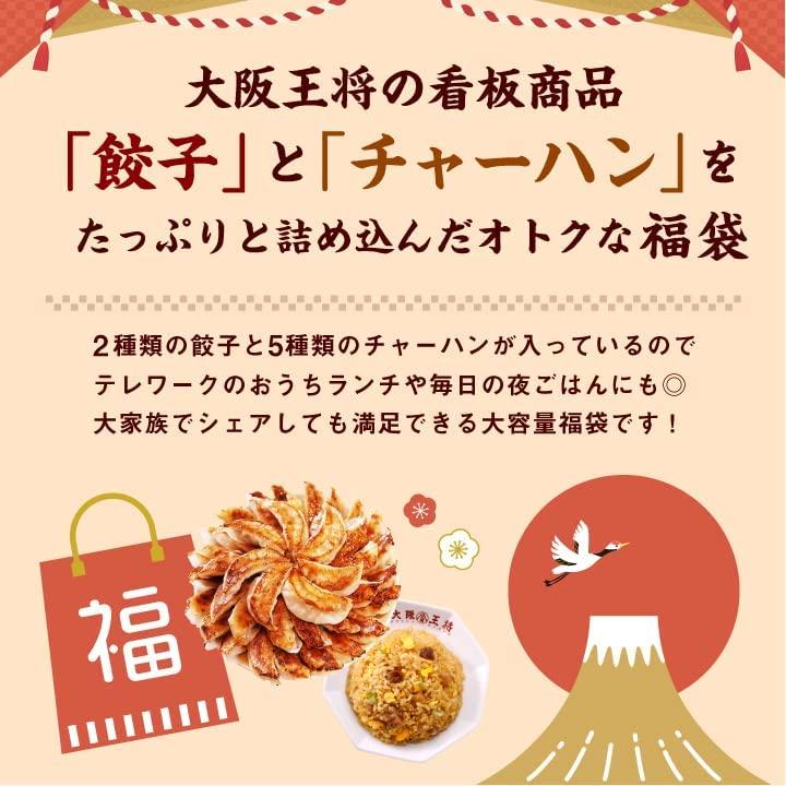 大阪王将 スタメン大集合セット 冷凍食品 餃子 チャーハン 炒飯