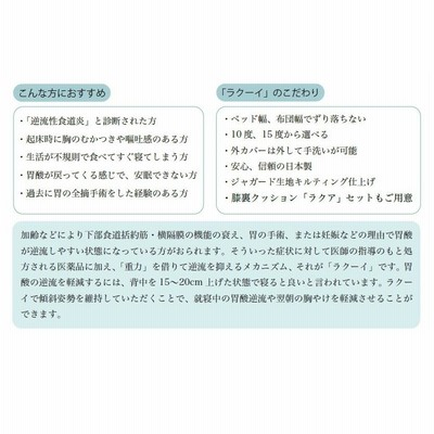 ラクーイ10度背上げマット[逆流性食道炎・胃全摘術後などに] 安心の