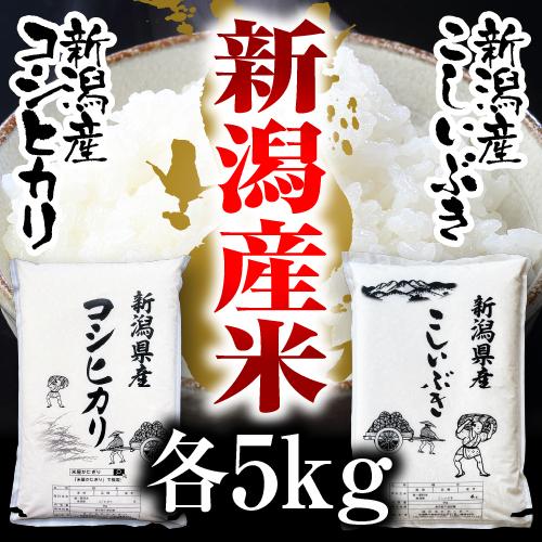 新米 令和5年産 お米 食べ比べ 各5Kg×1 10Kg 送料無料 新潟米 コシヒカリ こしいぶき 米 あすつく 美味しいお米 産直 白米