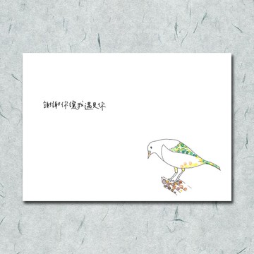 動物21/ 圈圈/ 鴿子 /鳥/ 手繪 /卡片 明信片