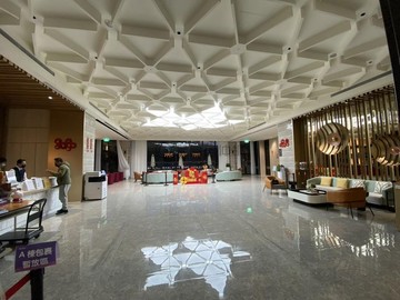 新未來二期霸氣露臺戶｜桃園市龜山區樂善二路