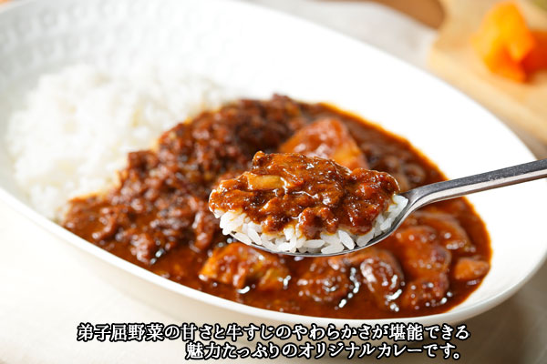 779.牛すじカレー 10個 中辛 じゃがいも 牛 牛肉 肉 業務用 レトルトカレー 保存食 備蓄 まとめ買い 北海道 弟子屈町