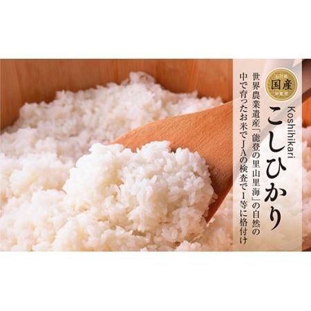 ふるさと納税 安全・安心な美味しい 中能登産 能登米コシヒカリ 石川県中能登町