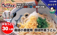 「さぬき半生」 讃岐吟麦うどん 30人前 300g×10袋