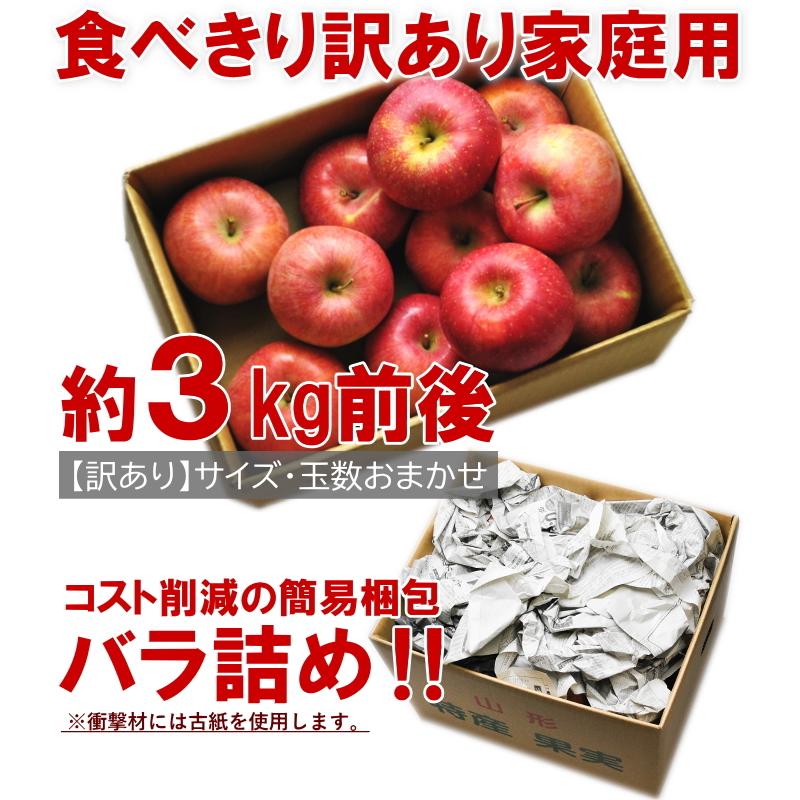 サンふじ　約3kg前後　バラ詰め　※玉数未定、サイズ混合、キズ、多少の痛みあり、林檎、りんご、リンゴ、ふじ、フジ