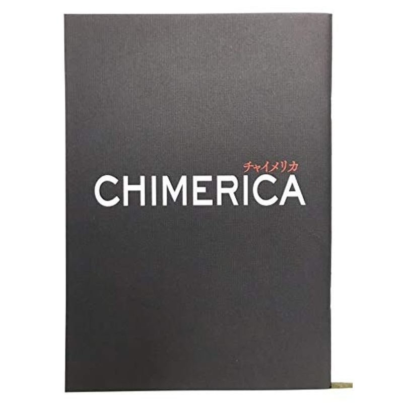 演劇CHIMERICA（チャイメリカ） 公演パンフレット 未読 田中圭 満島