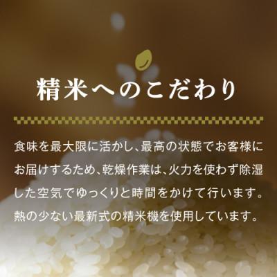 ふるさと納税 新潟県 高級中魚沼産コシヒカリ「雪椿」32kg(2kg×16袋)　特別栽培米