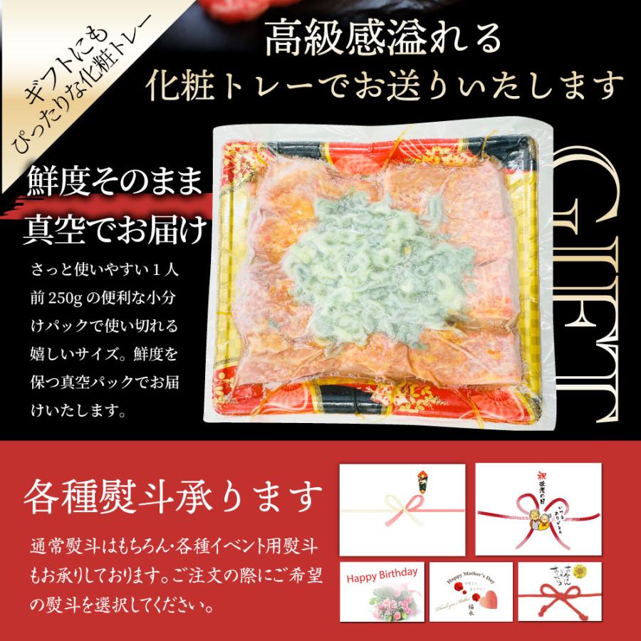 A4,A5等級 特選 黒毛和牛 カルビ焼肉 250g  ねぎまみれ 旨辛味噌ダレ ギフトボックス付 牛肉 肉 お歳暮 ギフト 食品 お祝い  霜降り 贅沢 黒毛 和牛