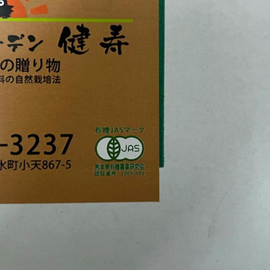 自然栽培　無農薬みかん　約10ｋｇ　訳あり　氏家さんの完全無農薬みかん　有機肥料一切不使用　完全無農薬　有機栽培　みかん　ミカン　蜜柑　無農薬