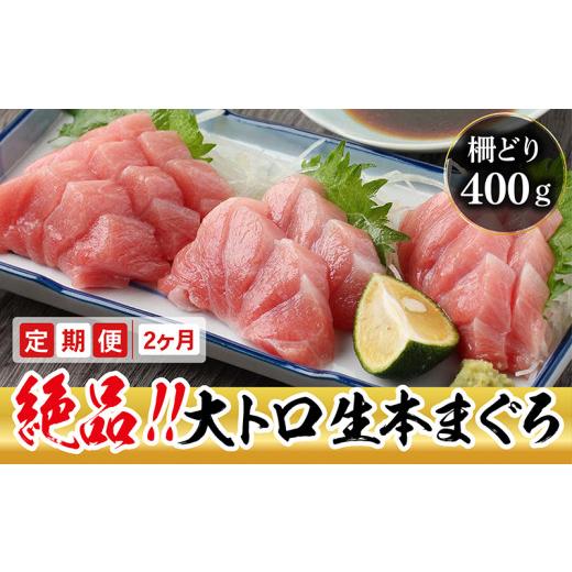 ふるさと納税 福井県 越前市 冷蔵でお届け！満足！生本マグロ 大トロ（柵どり） 400g × 2回お届け （毎月お届け）