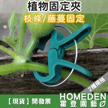 【隔日到貨】植物固定夾 園藝夾 爬藤植物 藤蔓固定夾 瓜果固定夾 蔓夾 蕃茄夾 枝條夾 綁枝夾【HOMEDEN霍登園藝】