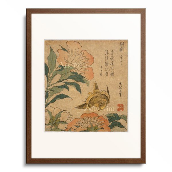 葛飾北斎 Katsushika Hokusai 「芍薬 カナアリ」