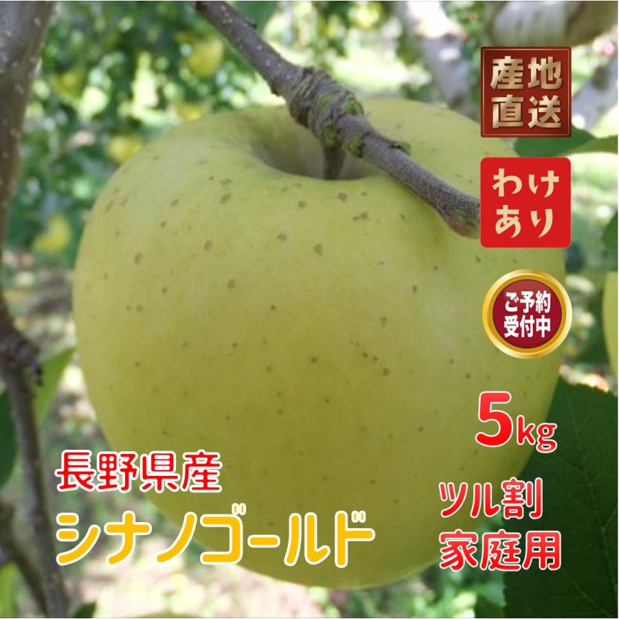 約5kg_シナノゴールド_ツル割(大)_家庭用_訳あり：信州のりんご_長野県飯綱町産産地直送でお取り寄せ