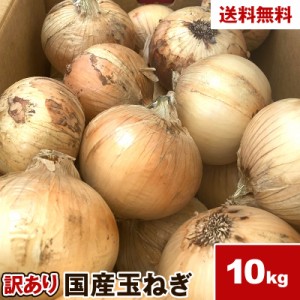 訳あり 北海道産 たまねぎ 10kg 玉ねぎ タマネギ 送料無料