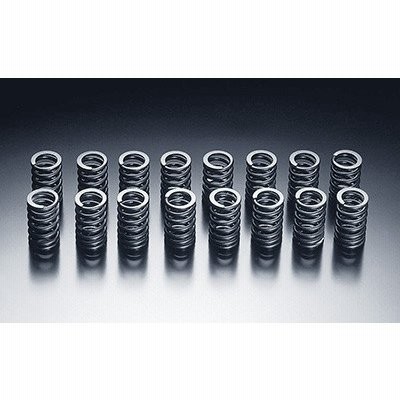 ボトムスス単品 日産シルビア SR20DE(T) 強化バルブスプリング 1台分