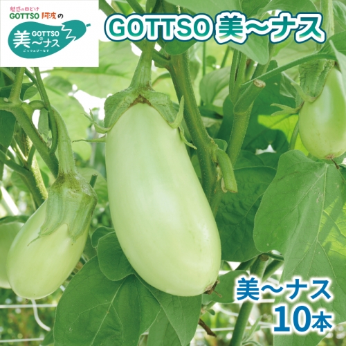 野菜 夏野菜 なすび 茄子 美～ナス 10本 朝どれ 産地直送 徳島県 阿波市