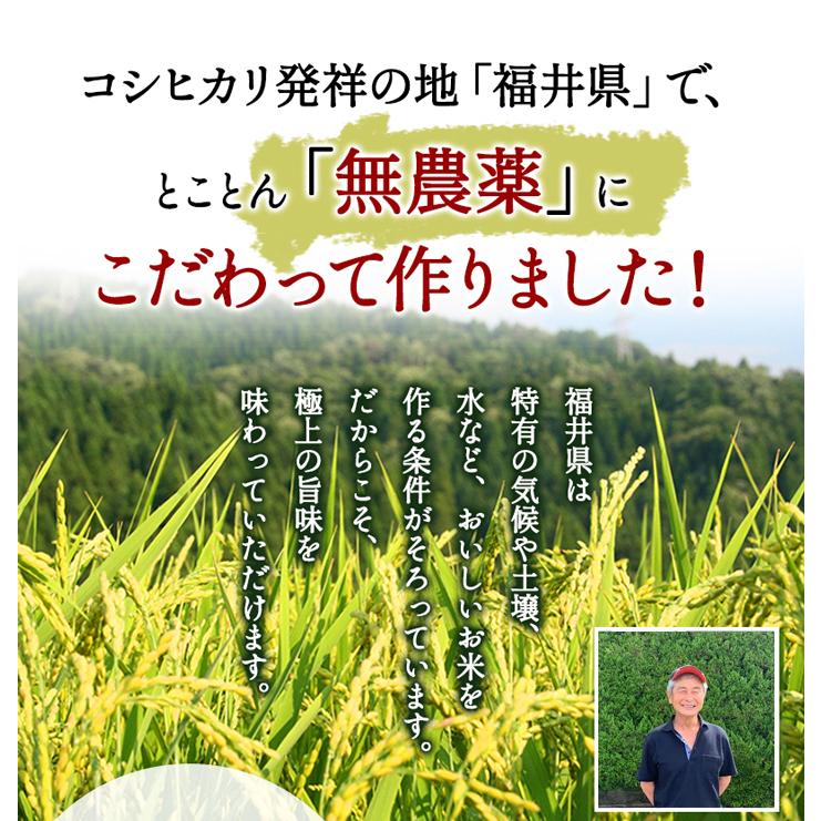 無農薬 玄米 米 20kg(5kg×4）無農薬 ミルキークイーン 極 令和5年福井県産 新米入荷 送料無料 無農薬・無化学肥料栽培