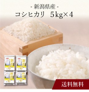 〔 新潟県産 コシヒカリ 〕お取り寄せ 送料無料 内祝い 出産内祝い 新築内祝い 快気祝い ギフト 贈り物