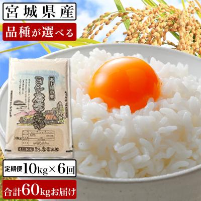 ふるさと納税 石巻市 令和5年産ヨシ腐葉土米 精米60kg(10kg×6回発送)ひとめぼれ