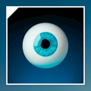 Eye tracking y el estudio de la percepción visual